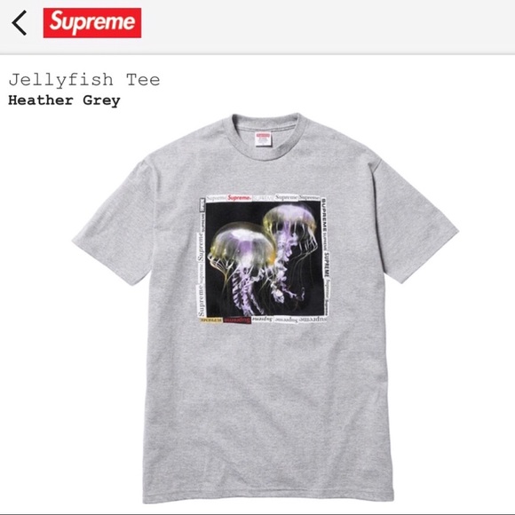 supreme jellyfish